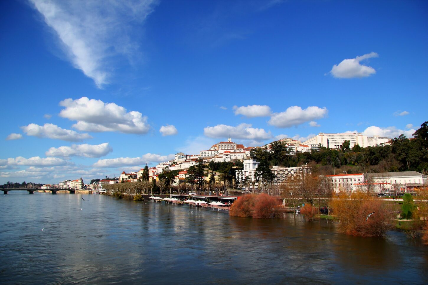 estudar em coimbra