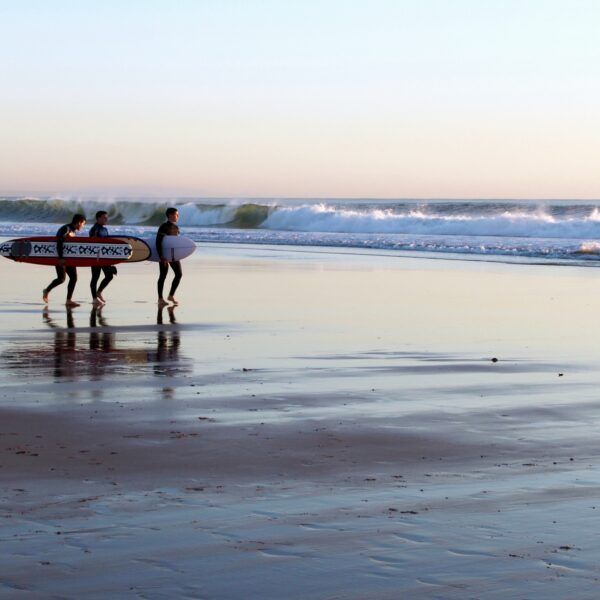 rita-gomes-oliveira-mIrS_hoqgG4-unsplash