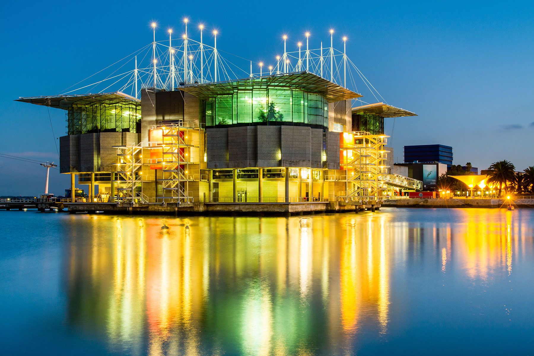 O-que-fazer-em-Lisboa-Oceanario